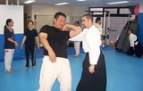 aihanmi-katatedori-20110612