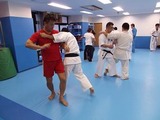 fook-osotogari-2-20140323