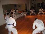 shiko-in-ny