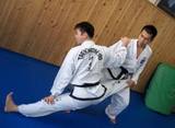 taekwando-stretching-20100131-2