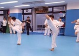 faint-kick-ido-20140323