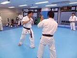 faint-kick-20140323