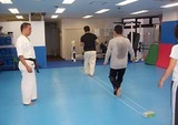 balance-beam-training-20111002