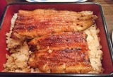 kikukawa-unagi-20170725