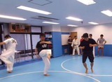 low-kick-20140921