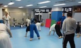 shinwan-shinshitsu-hokou-2-20120122