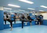arabesque-20111127