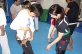 sappa-20101128
