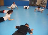 swan-dive-20110821