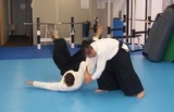 aikido-demonstration-20110612