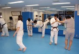 uchimata-with-partner-20110116