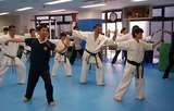 taikyokuken-20110508