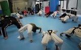 bridge-20120603