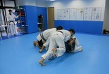 sandbag-oshi-20101031