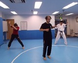 fencing-training-5-20150201