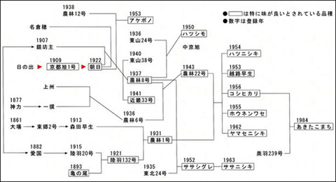 米系譜