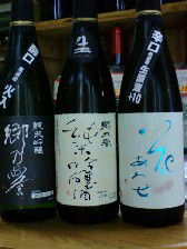 200812042056301.JPG