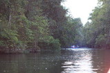 080811-33