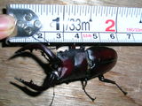 3b71df12.JPG