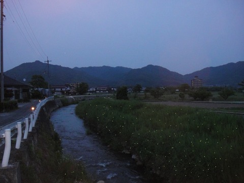 DSC05133