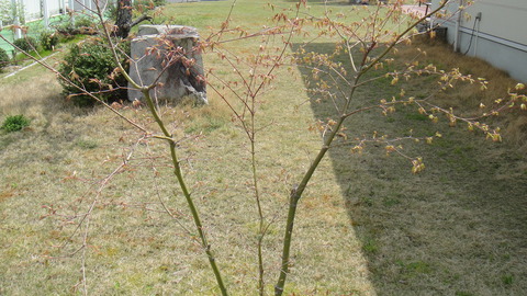 DSC04280