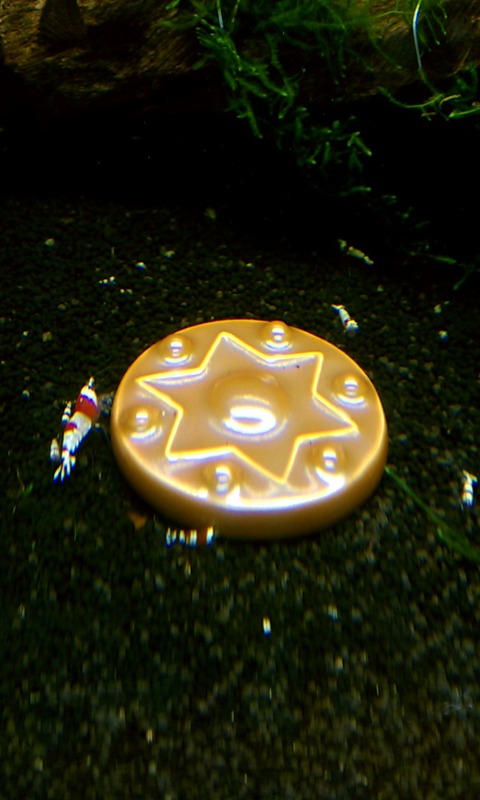 IMAG0091