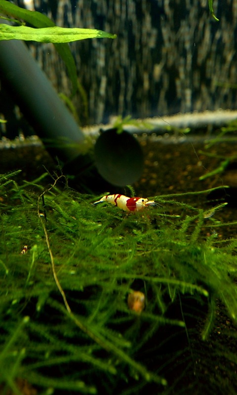IMAG0362