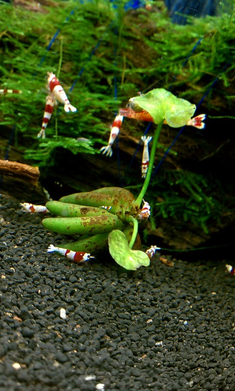 IMAG0591