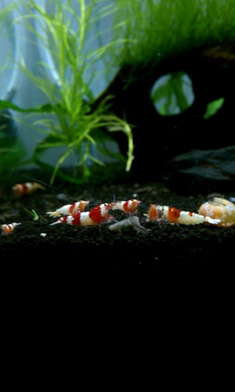 IMAG0323