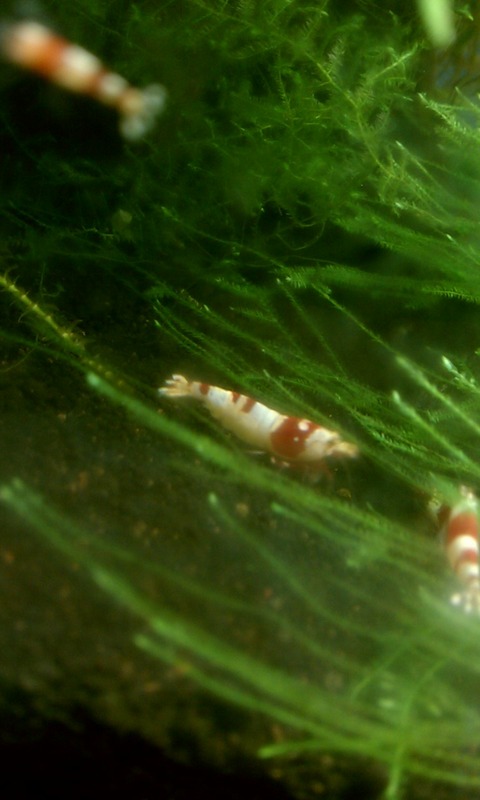 IMAG0460