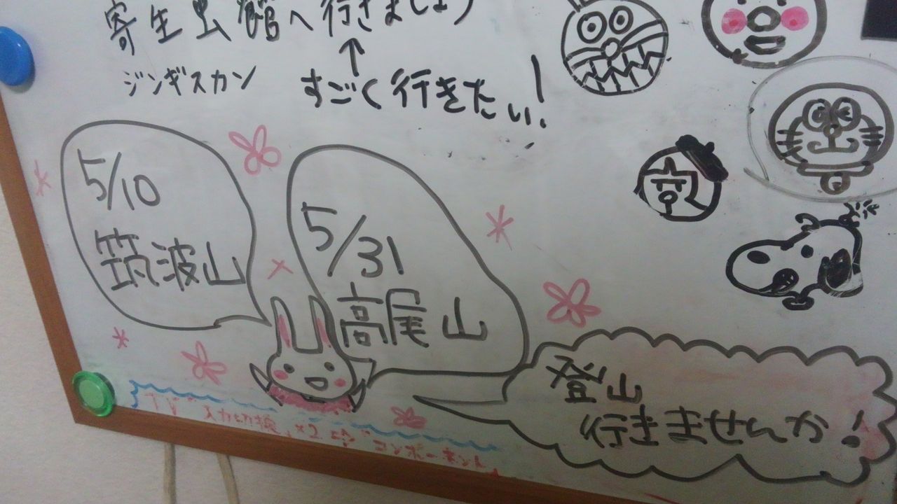 5月はシェアハウスのイベント多数 俺 シェアハウスの管理人