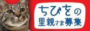 ���Ӥ�Τ���罸