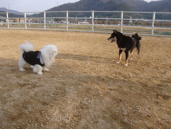 DSC00055 (2)