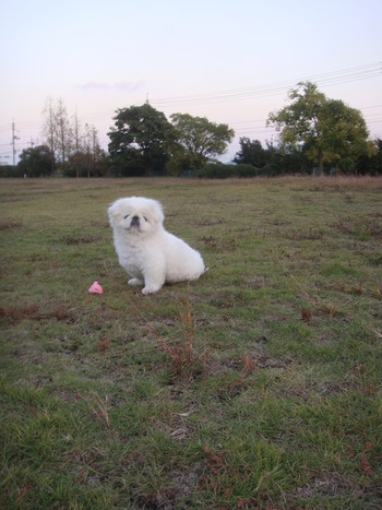DSC00191