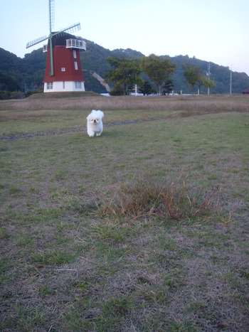 DSC00162