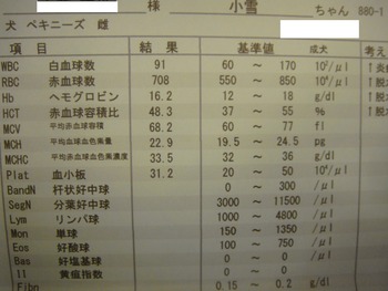 DSC09970 (2)