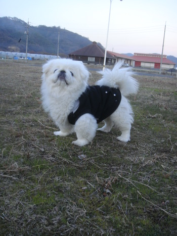DSC09801