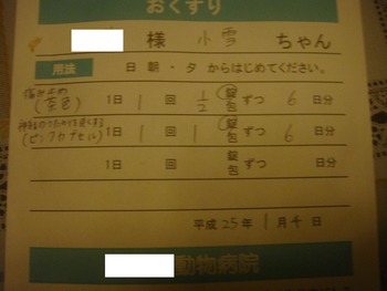 DSC09972 (2)