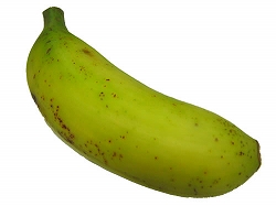 0809