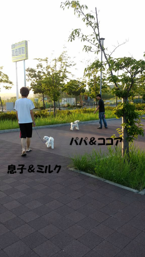 2017_0806_1