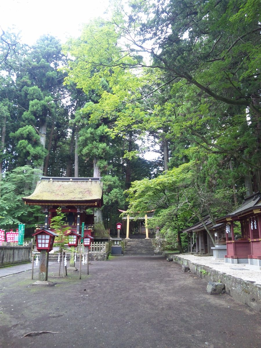 富士陽子 の掲示板投稿写真＆画像