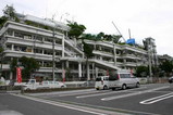 f07c046f.jpg