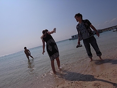 海
