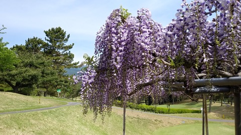 IMG01405_HDR