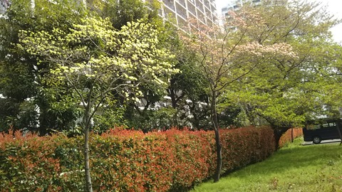 DSC_9868