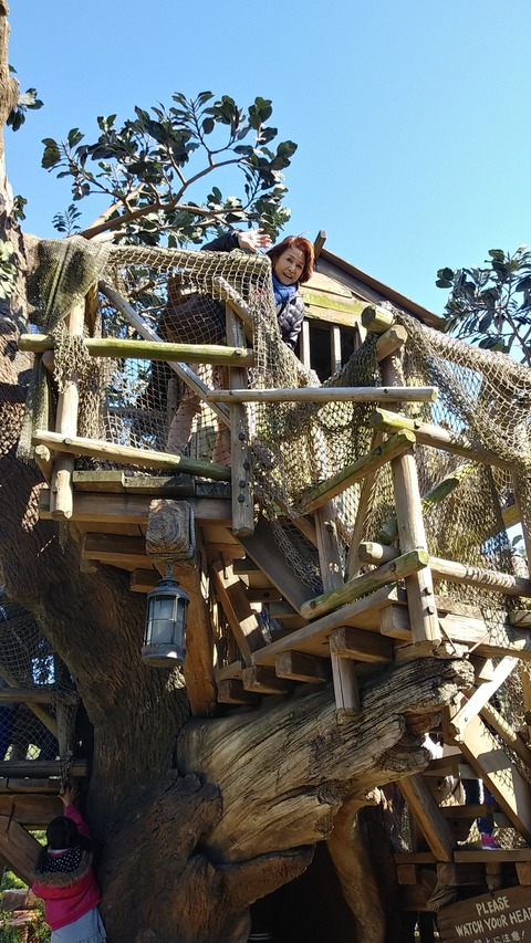 IMG01201_HDR