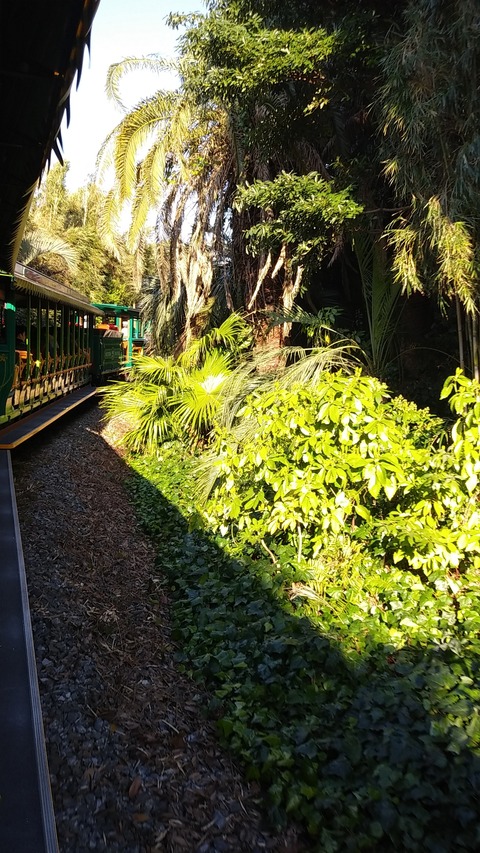 IMG01203_HDR