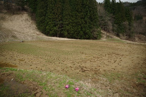 th_IMGP5113