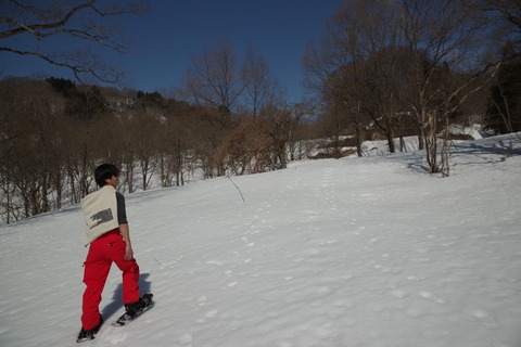 th_IMGP4164