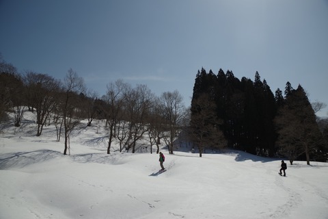 th_IMGP4165